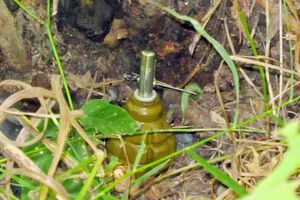 Украинские военнослужащие подорвались на растяжке недалеко от села Троицкое