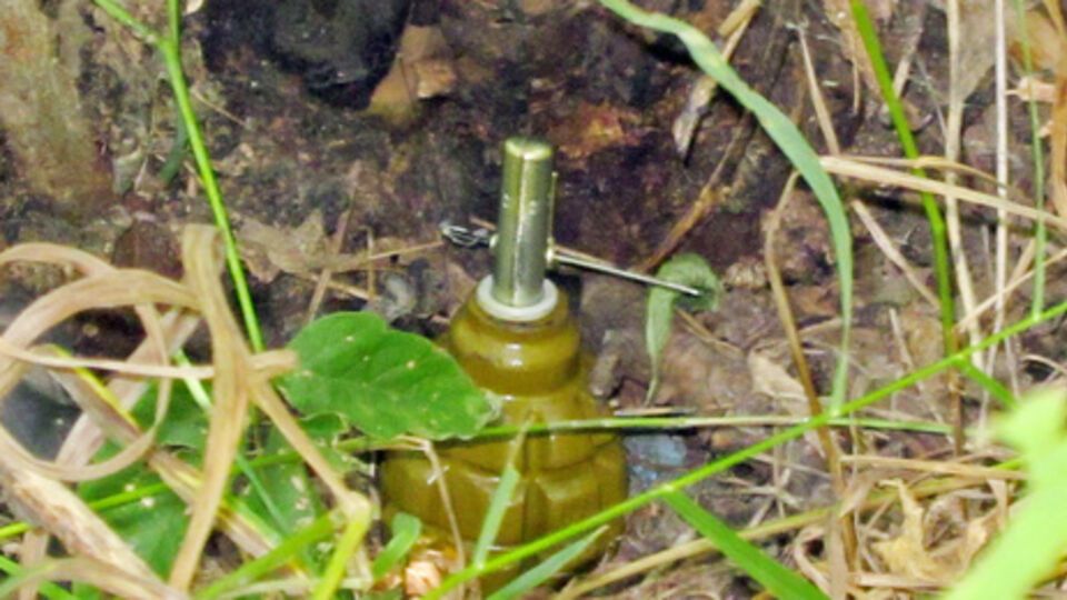 Украинские военнослужащие подорвались на растяжке недалеко от села Троицкое