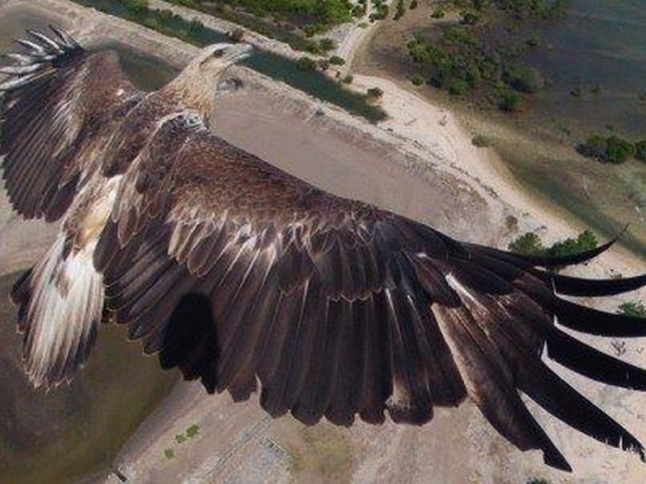 Миллиардер Мердок купил&nbsp;журнал National Geographic и ряд других активов Национального географического общества США&nbsp;за $725 млн
