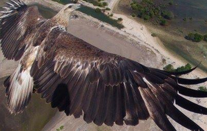 Миллиардер Мердок купил журнал National Geographic и ряд других активов Национального географического общества США за $725 млн