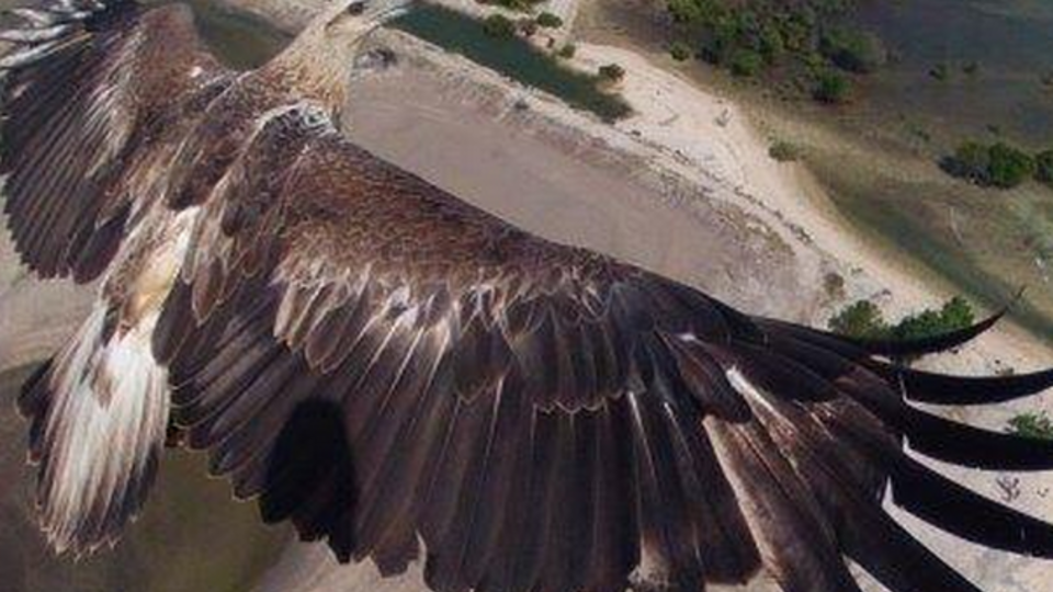 Миллиардер Мердок купил журнал National Geographic и ряд других активов Национального географического общества США за $725 млн