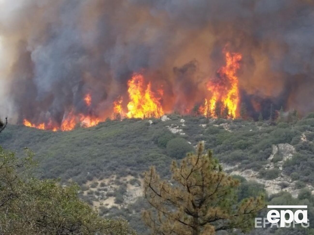Площадь лесных пожаров в Калифорнии — более 20 тыс. гектаров
