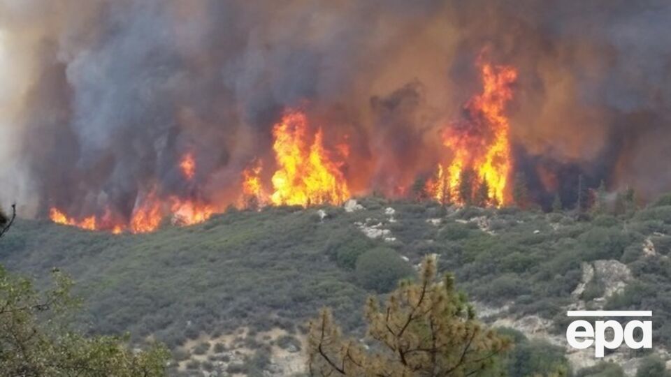 Площадь лесных пожаров в Калифорнии — более 20 тыс. гектаров
