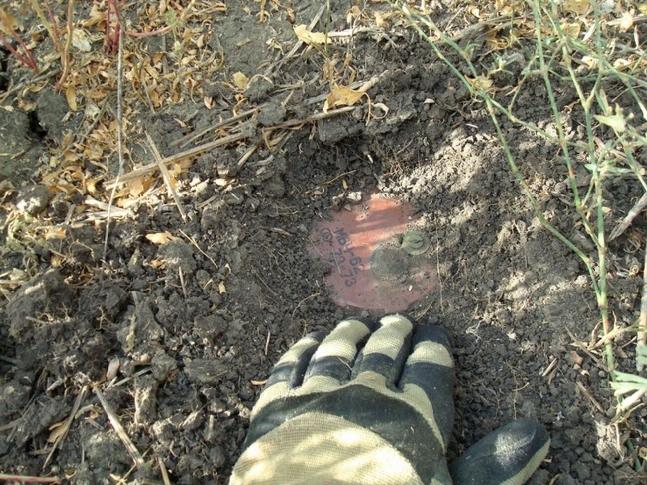 Украинские военные обезвредили 14 мин различной конфигурации