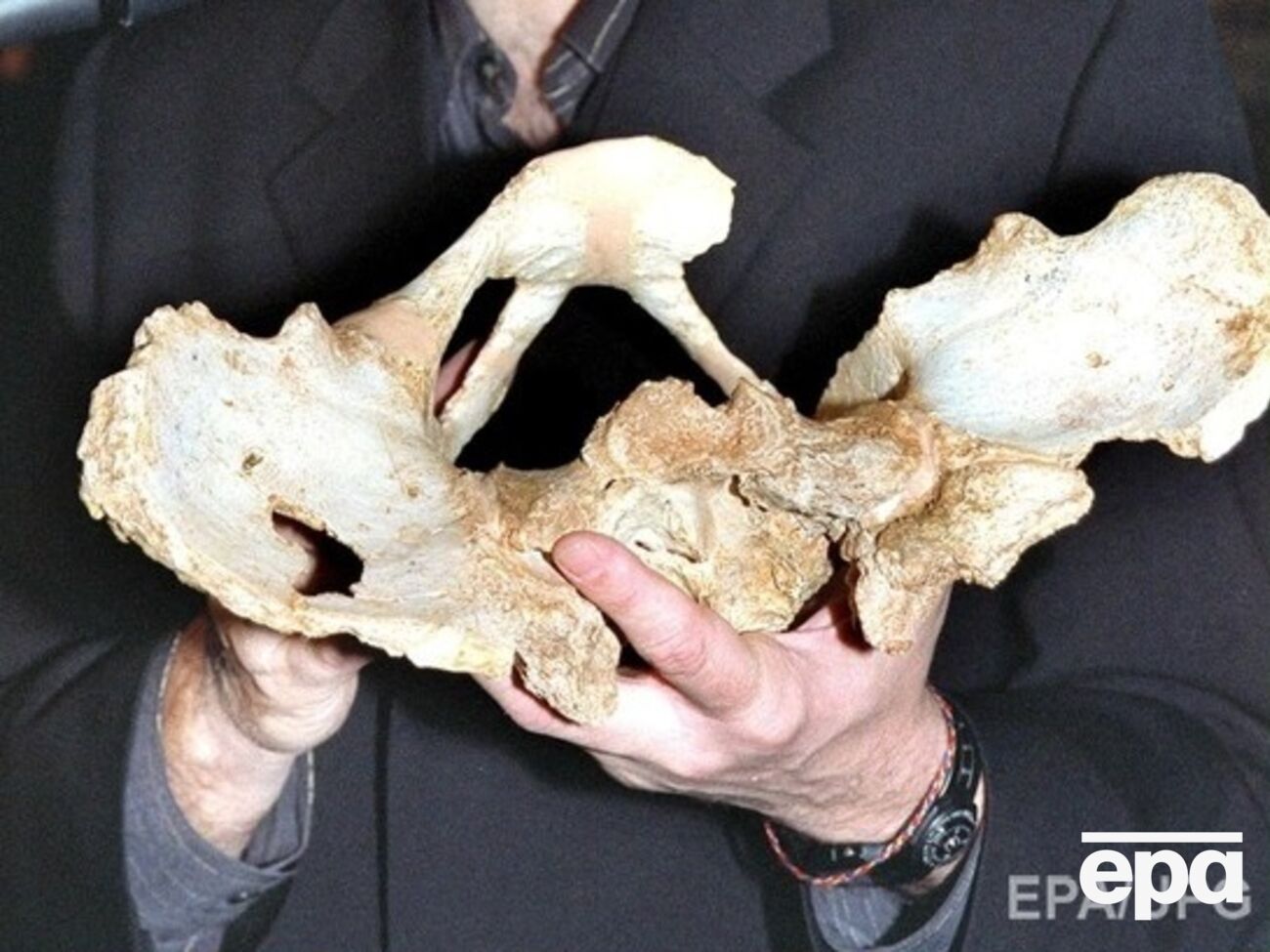 Открытие ученых заставит пересмотреть эволюционные теории