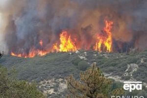 Водитель снял на видео свое бегство от лесного пожара