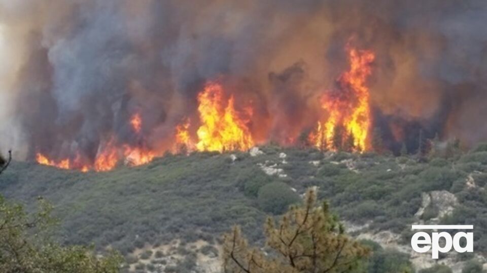 Водитель снял на видео свое бегство от лесного пожара