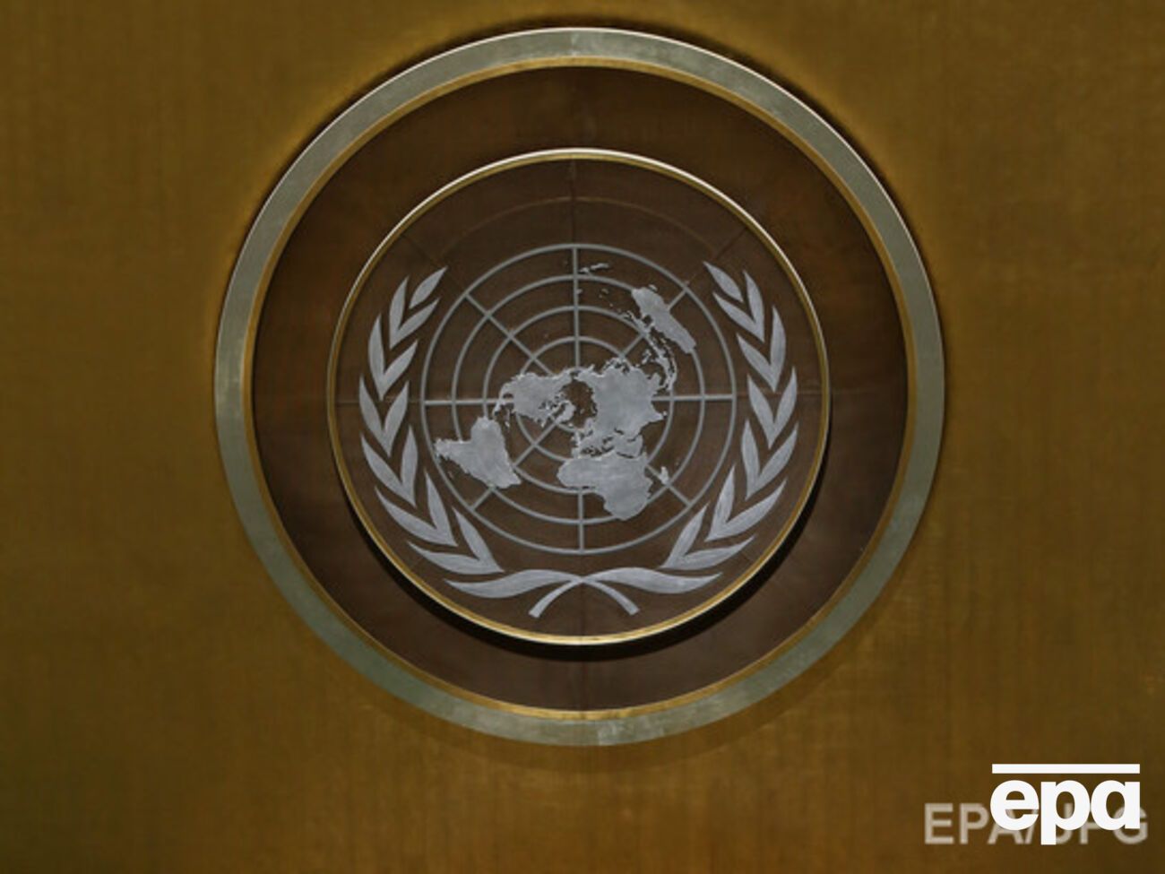 Рада обратилась к ООН