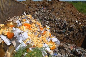 В отличие от Евросоюза, готового раздать излишки молочных продуктов беженцам, в России уничтожают "санкционный" сыр