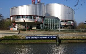 ЕСПЧ удовлетворил жалобу россиян