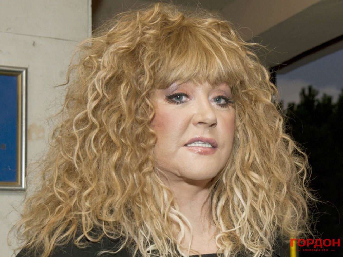 Пугачева, по словам Кушанашвили,&nbsp;считает происходящее между Россией и Украиной напрочь лишенным смысла