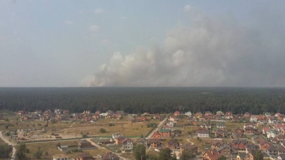 ГСЧС: Спасатели продолжают тушить лес под Киевом