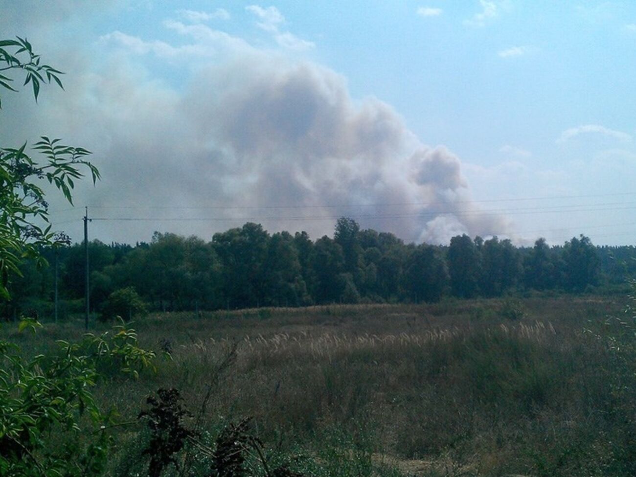 Под Киевом продолжается лесной пожар