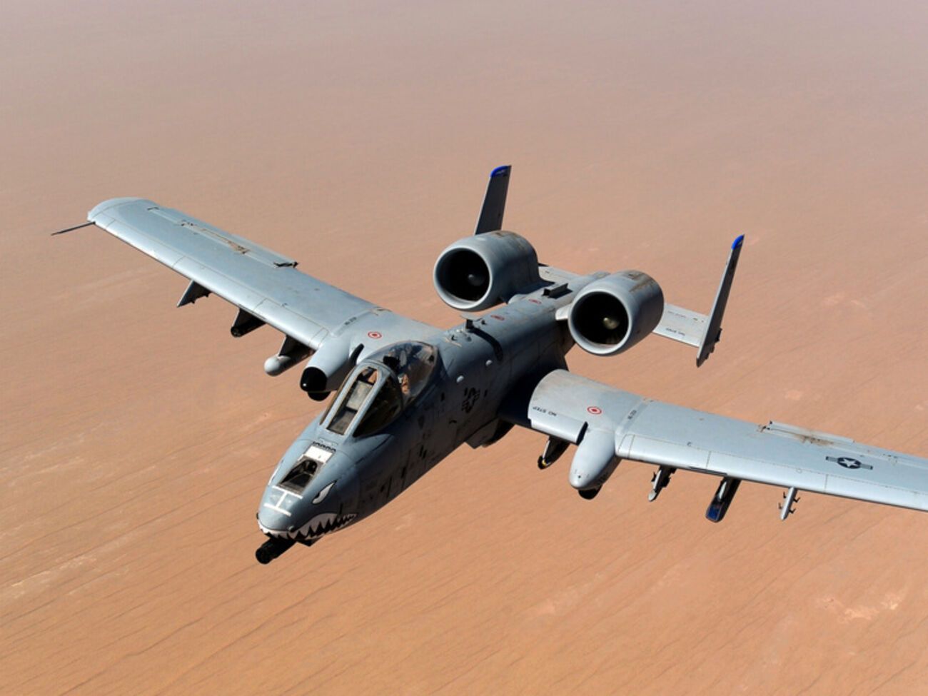 В Эстонии разместят американские штурмовики