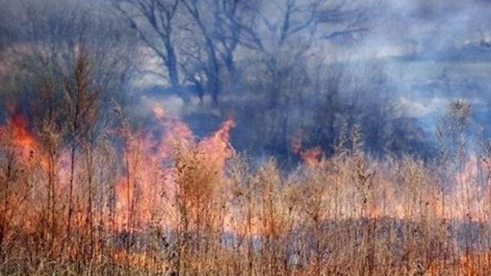 Госслужба по ЧС: На юге ряда областей Украины два дня будет чрезвычайная опасность пожаров