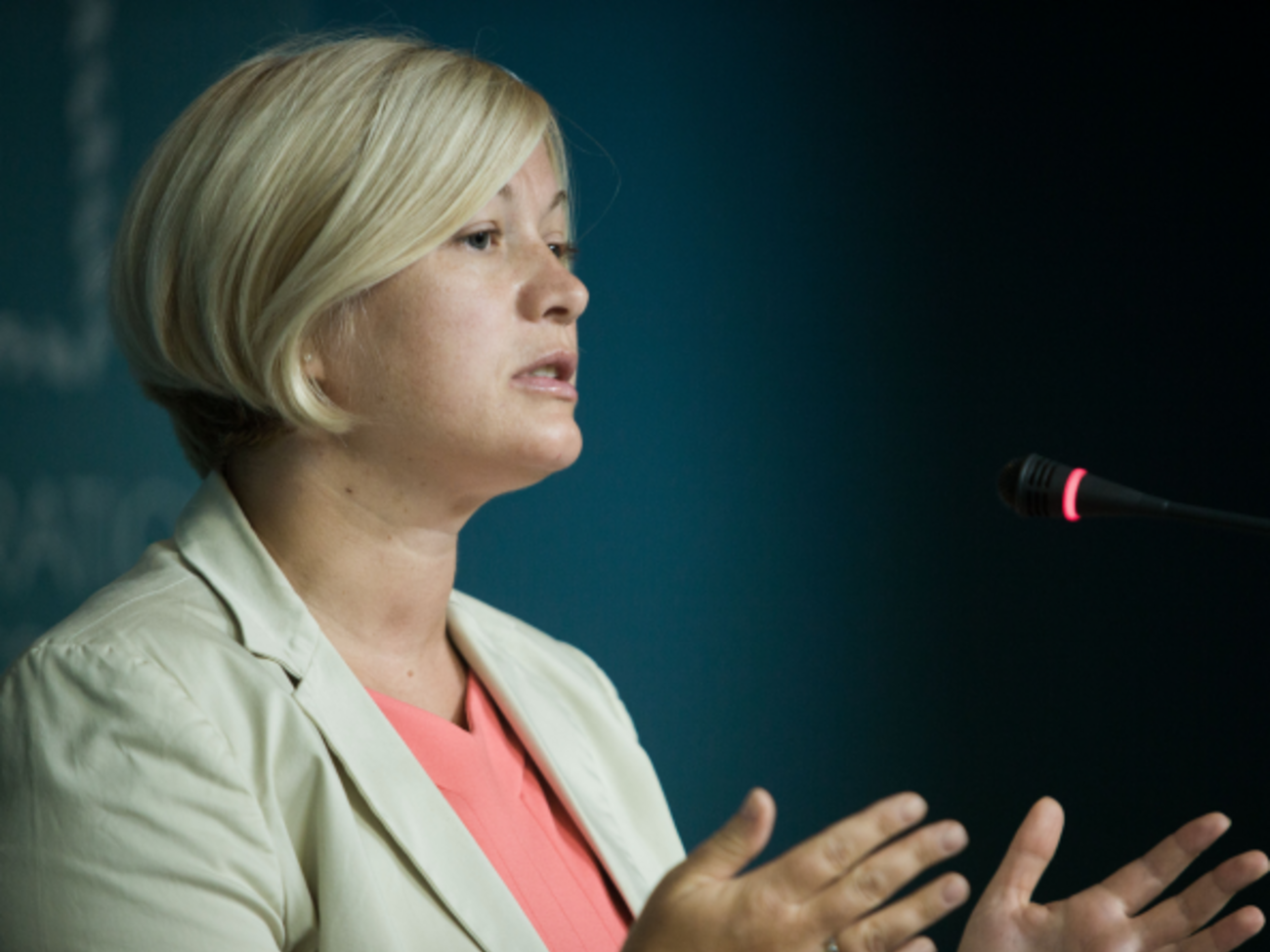 Ирина Геращенко: Назначать выборы на Донбассе может только Верховная Рада, а не самоназначенцы