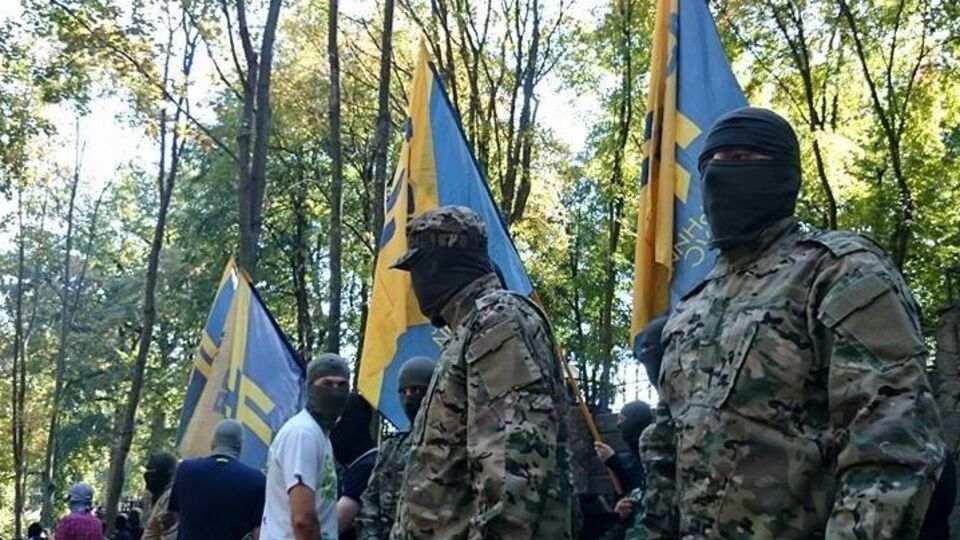 Молодые люди, атаковавшие дом Михаила Добкина, скрывали свои лица