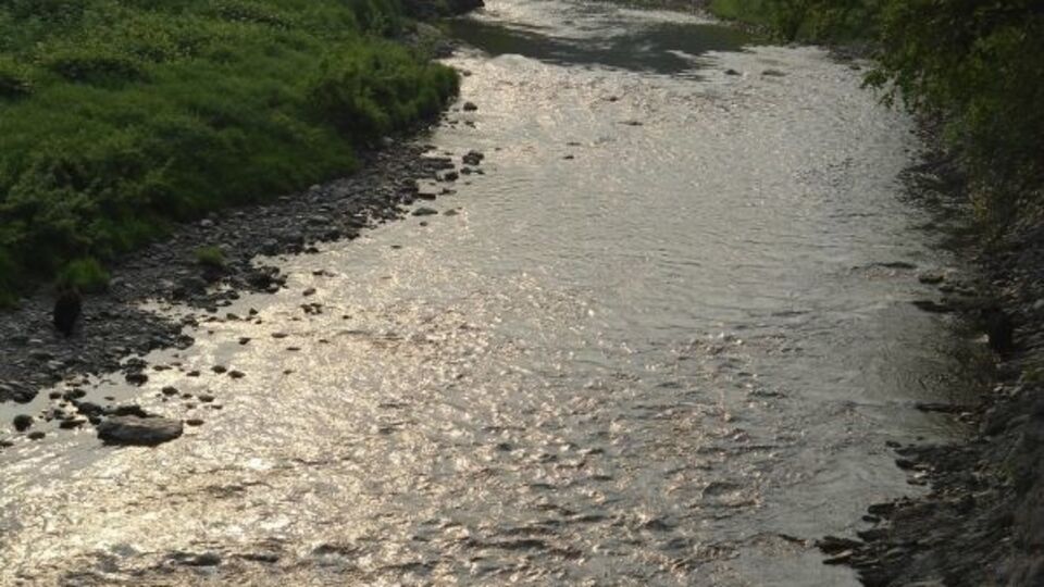 Экологи: Программа сохранения лососевых рек поставлена под угрозу