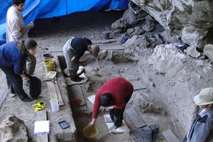 Археологи нашли признаки древней ритуальной казни