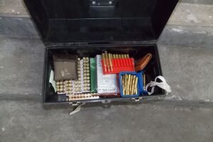 Во Львовской области пограничники задержали француза с арсеналом охотничьего оружия. Фоторепортаж