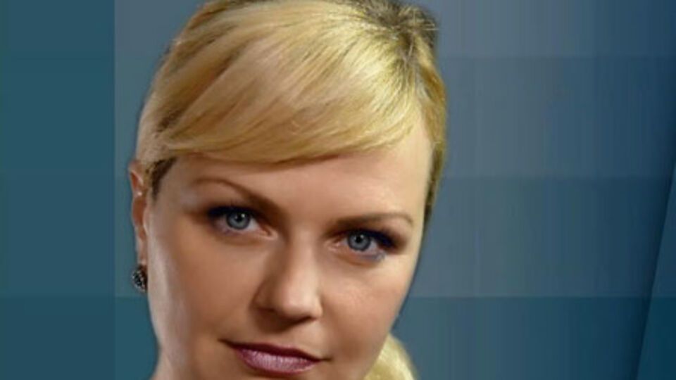 Гитлянская: Мы не исключаем, что это сделала специальная диверсионная группа