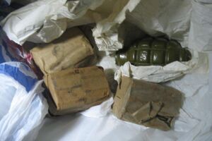 Гражданин Грузии перевозил гранату, запал к ней и 90 патронов