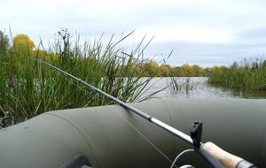 Предполагаемая стоимость любительской рыбалки пока неизвестна