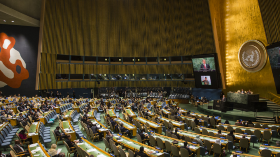 Президент Порошенко поучаствует в двухсторонних встречах и официальных мероприятиях ООН