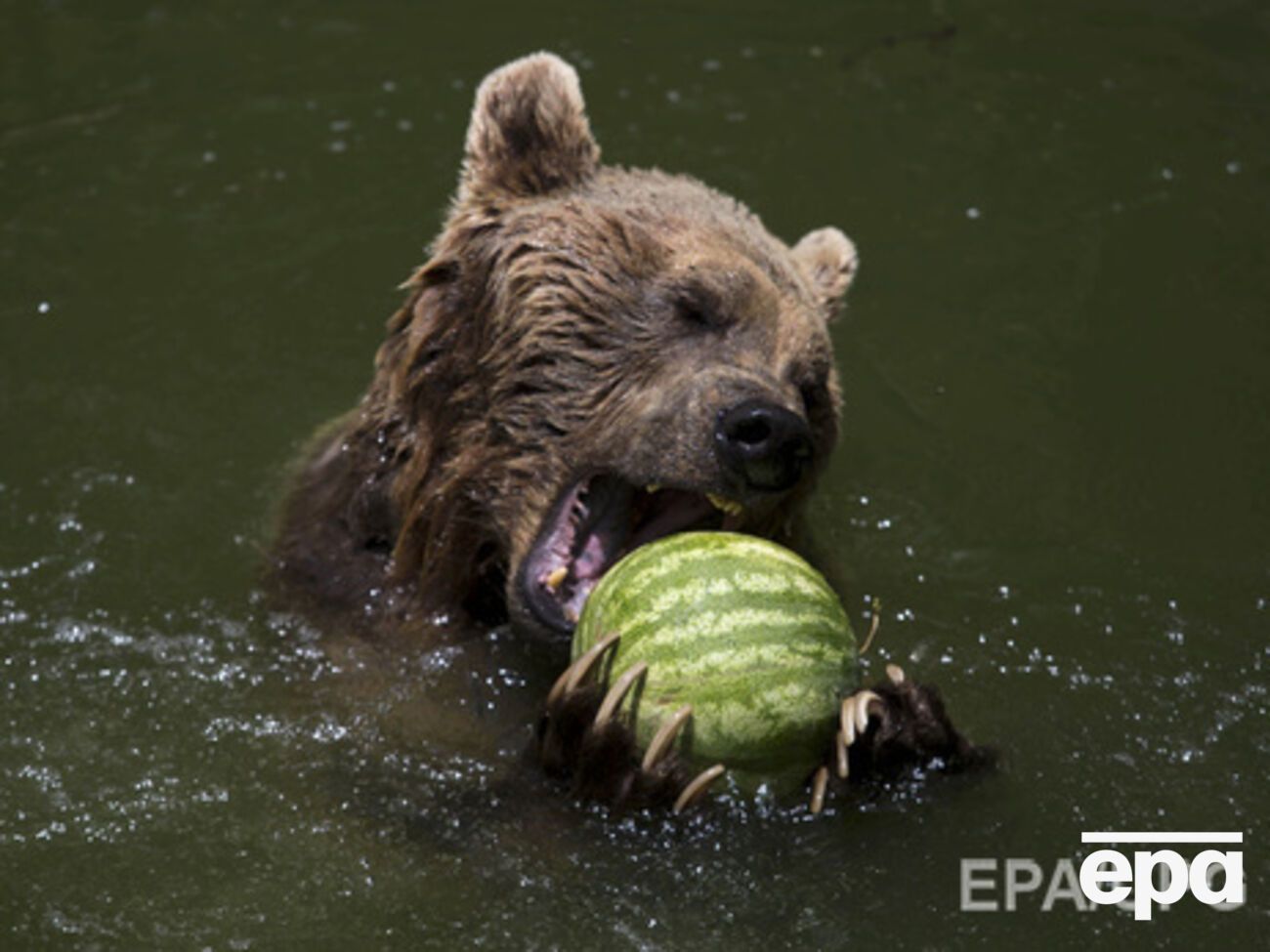 Жара немного спадет, но на востоке все еще будет ставить рекорды