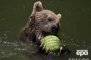 Жара немного спадет, но на востоке все еще будет ставить рекорды