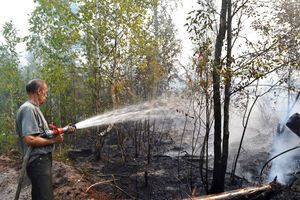 Госслужба по ЧС: В Киевской области продолжается тушение лесного пожара