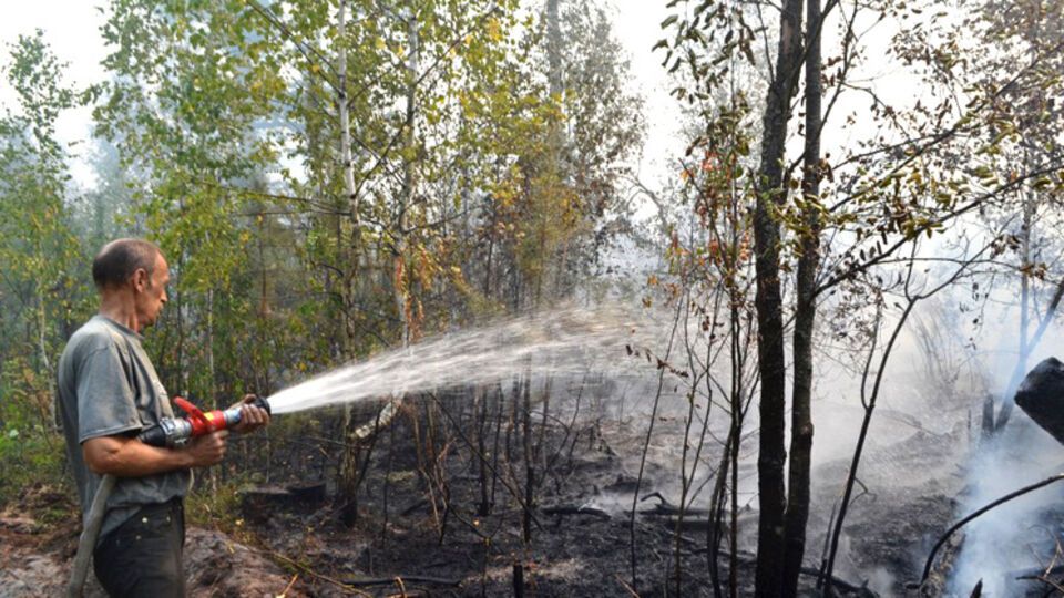 Госслужба по ЧС: В Киевской области продолжается тушение лесного пожара
