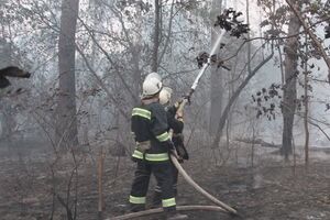 Лесной пожар вблизи Киева потушили