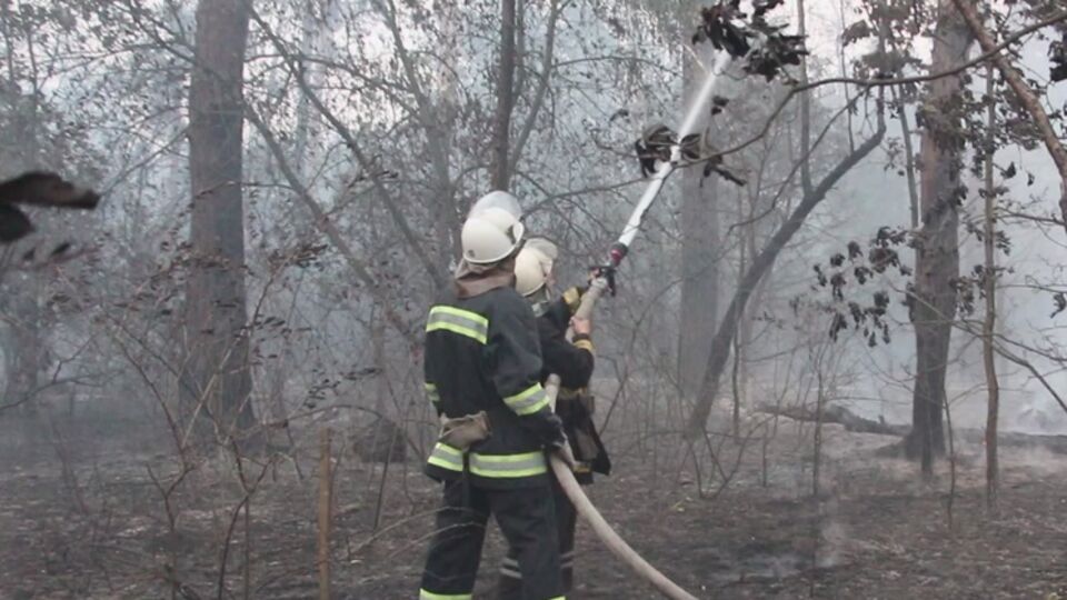 Лесной пожар вблизи Киева потушили