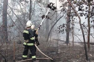 Лесной пожар под Киевом тушили два дня
