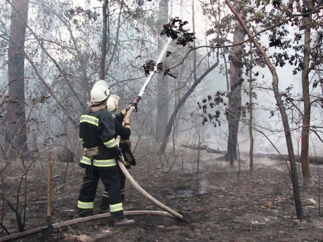 Лесной пожар под Киевом тушили два дня