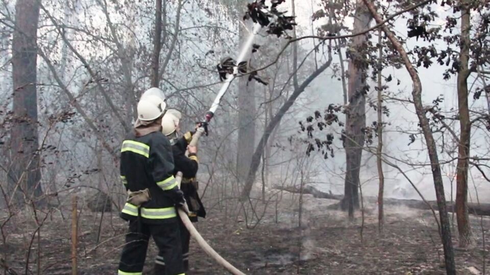 Лесной пожар под Киевом тушили два дня