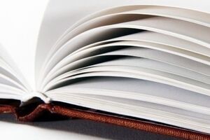 Руководству научно-практического центра "Учебник", который занимается экспертизой учебников, по итогам ситуации вынесен выговор