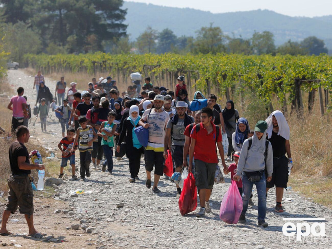 Евросоюзу все сложнее справляться с потоком мигрантов
