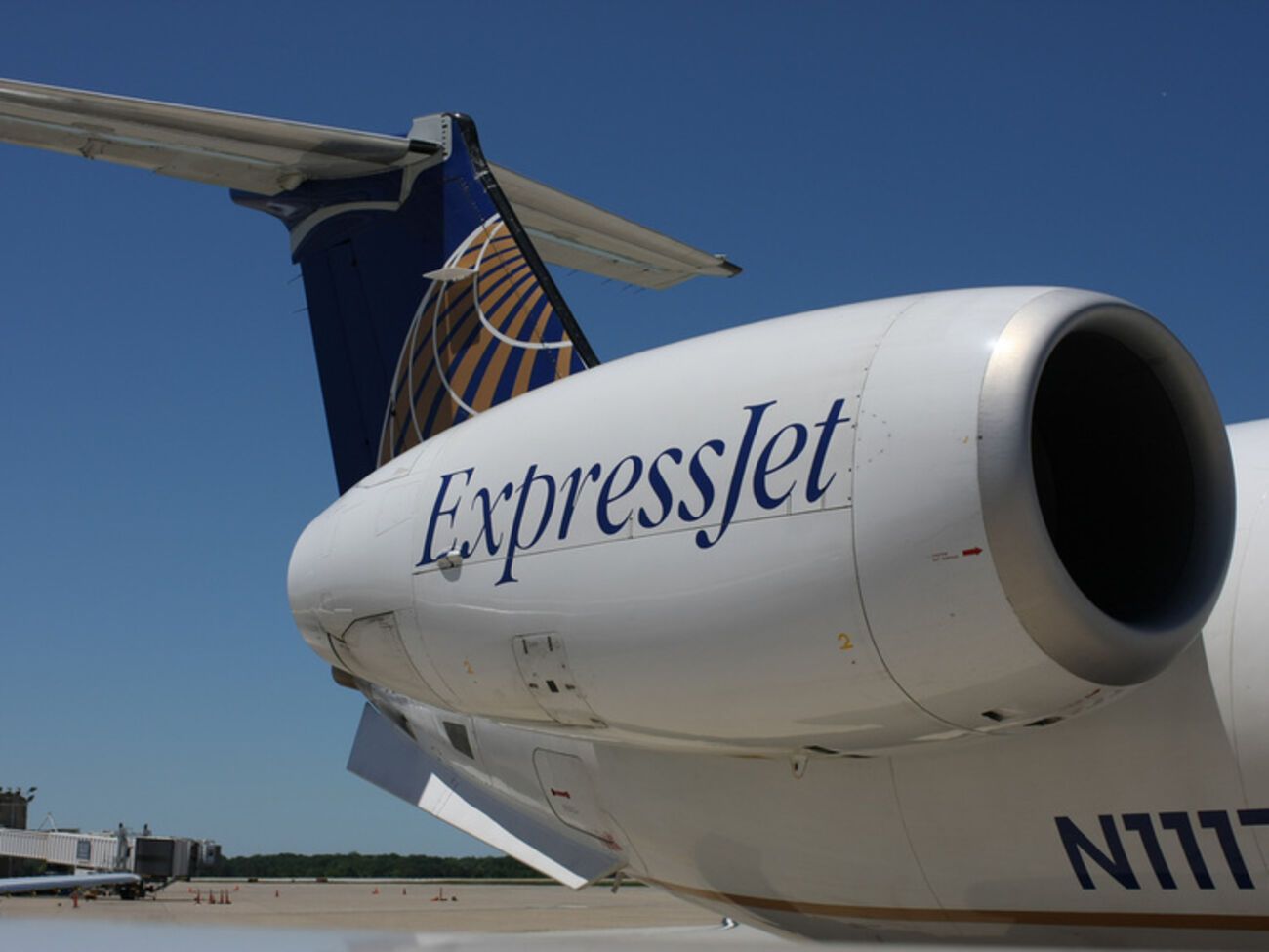 В авиакомпании девушке посоветовали искать новую работу