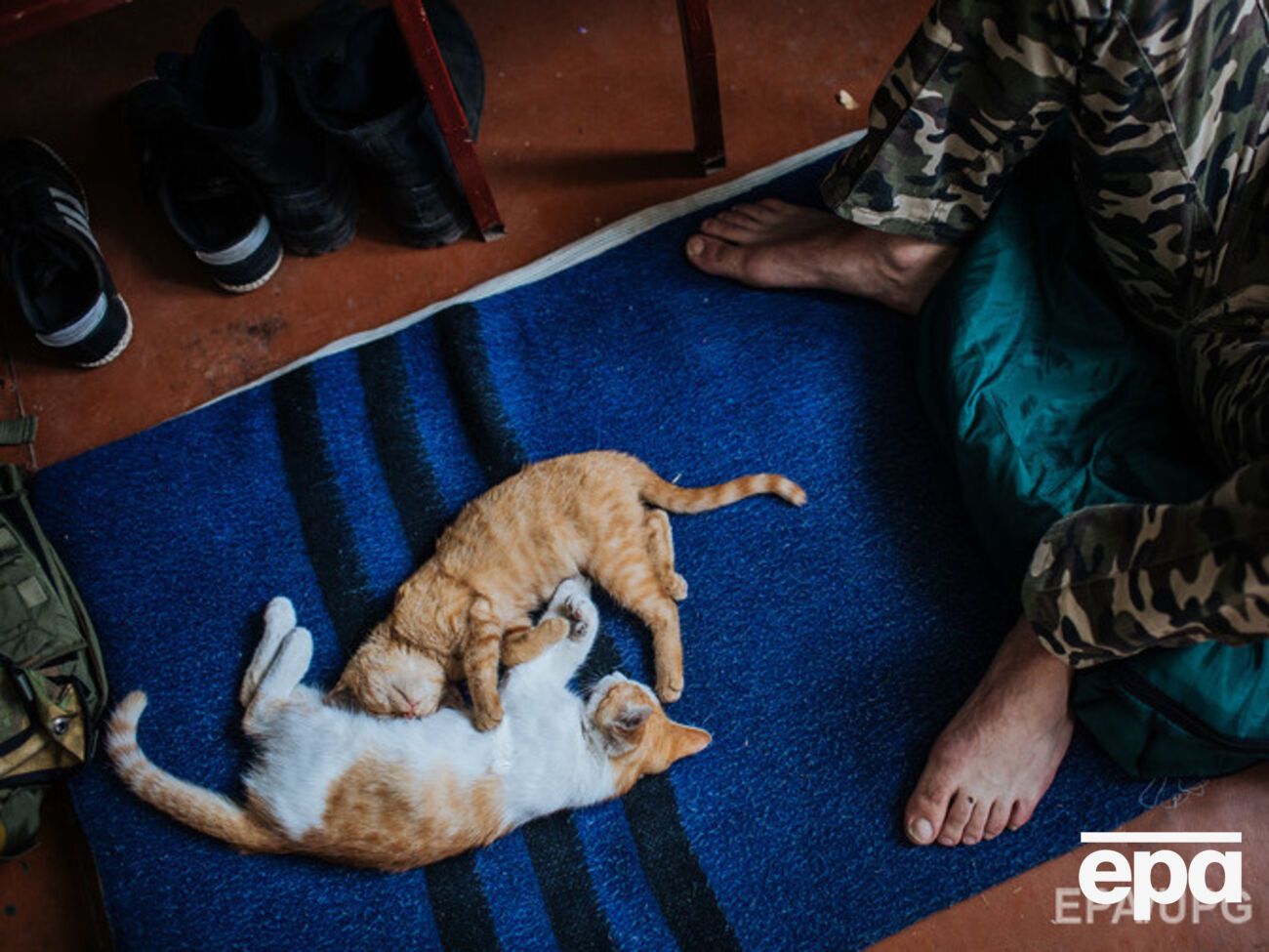 Украинская сторона сообщила о полной стабилизации обстановки на Донбассе