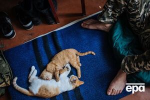 Украинская сторона сообщила о полной стабилизации обстановки на Донбассе