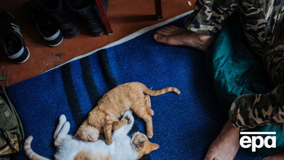 Украинская сторона сообщила о полной стабилизации обстановки на Донбассе