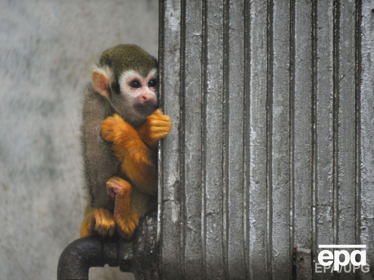 В министерстве уверяют, что успели подготовиться к отопительному сезону