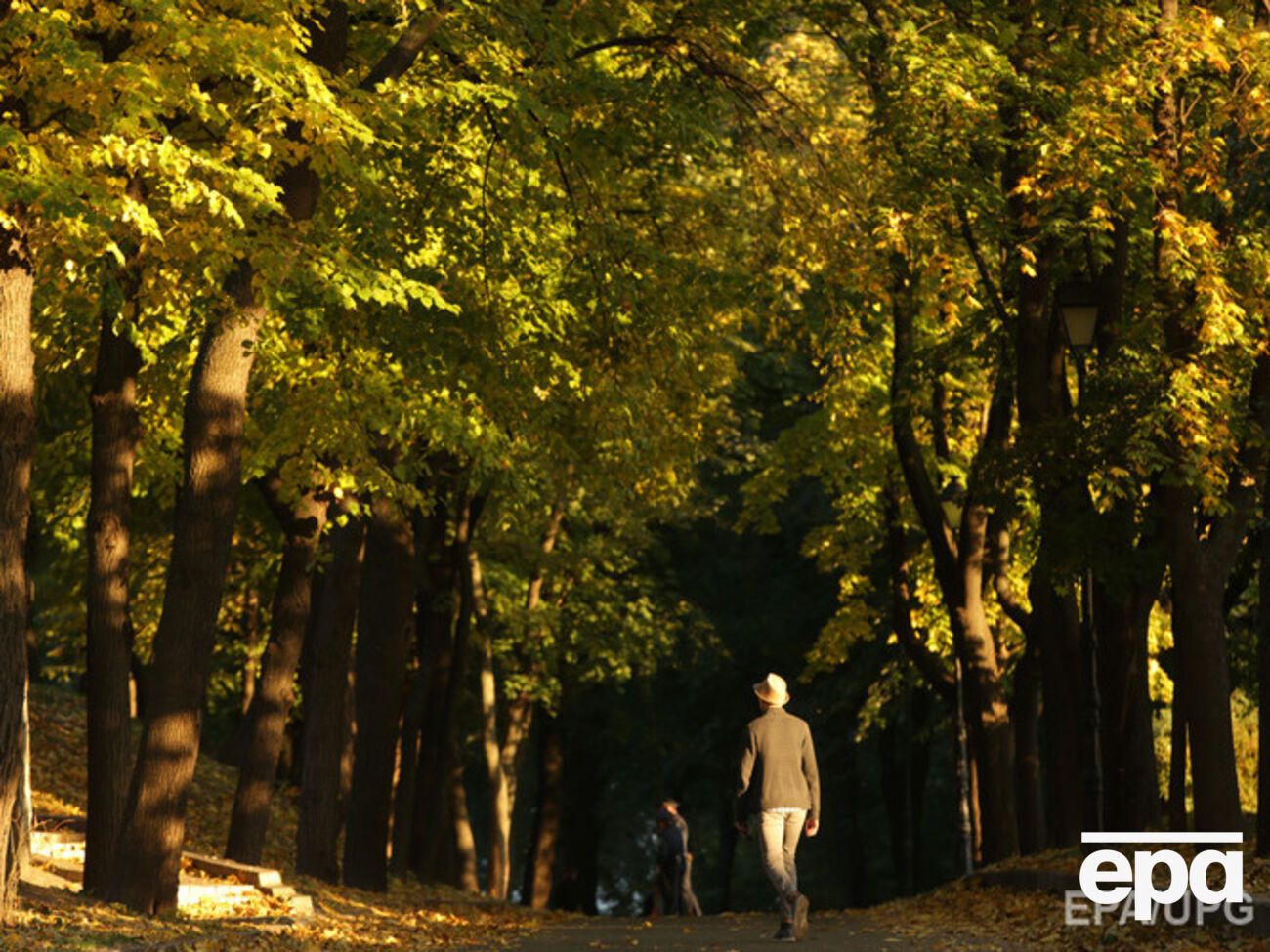 Синоптики обещают мягкую зиму и осень