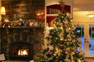 Знаменитости показали, какие новогодние елки украсили их дома