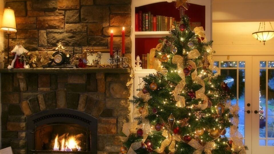 Знаменитости показали, какие новогодние елки украсили их дома