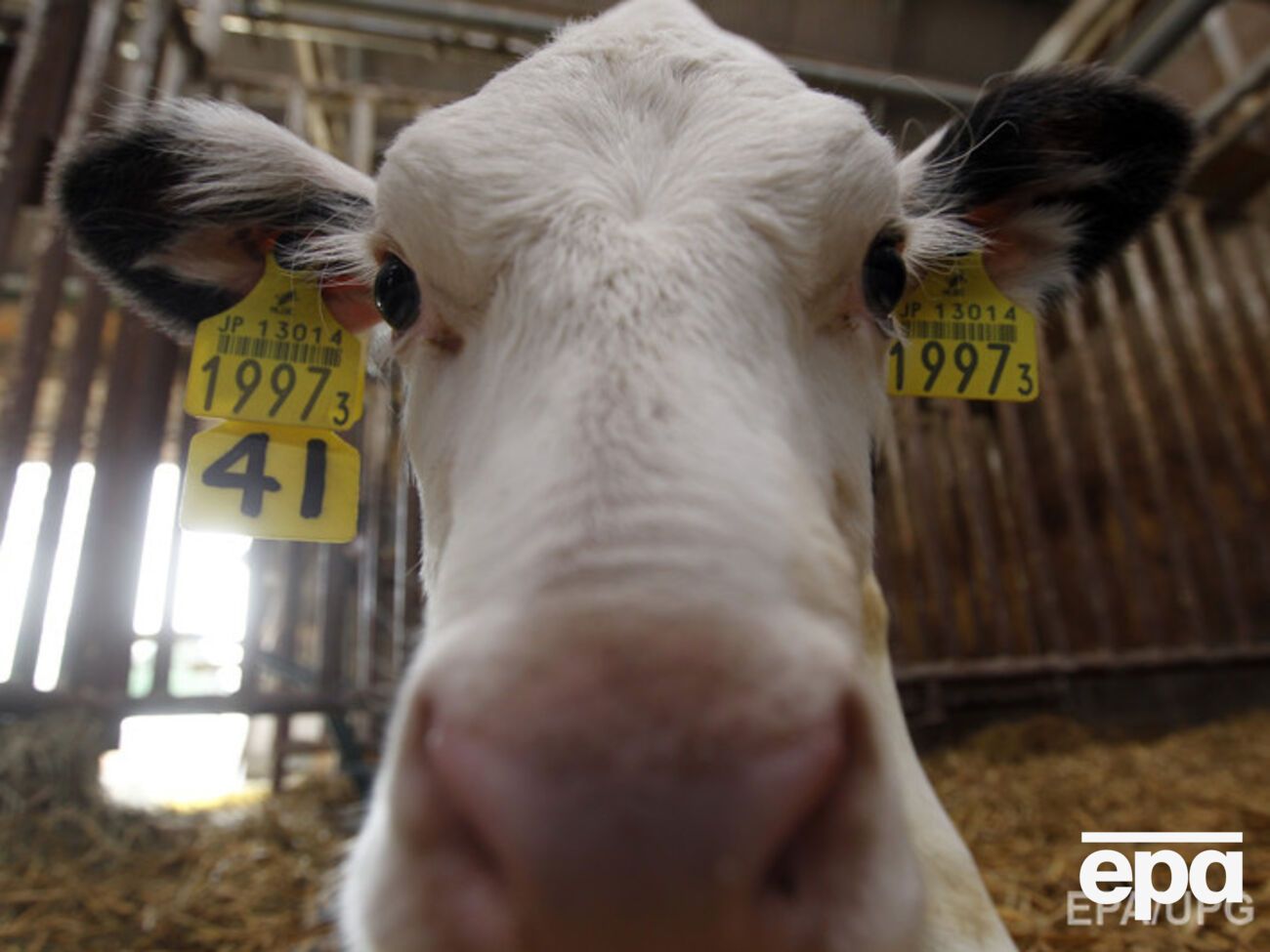 Россия вводит санкции в отношении Украины