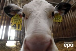 Россия вводит санкции в отношении Украины