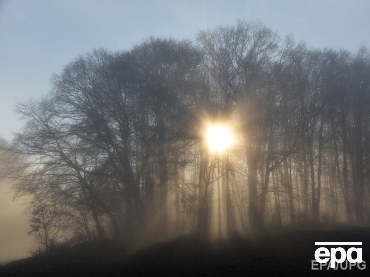 Причиной ДТП считают сильный туман